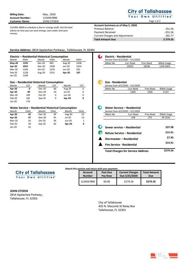 USA Florida City of Tallahassee Florida Your Own Utilities bill template in Word and PDF format